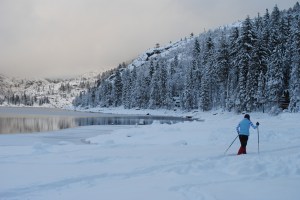 Cross Country Skiing at Pinecrest, CA
